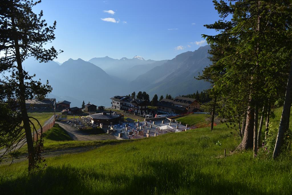 Hotel Gallo Cedrone Valdisotto Exteriér fotografie
